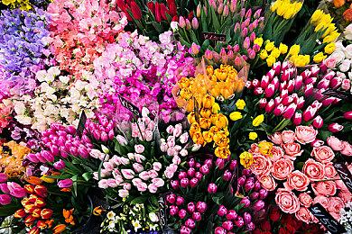 真人互动影游《极道游龙：遗忘的心跳》Steam页面 发售日待定